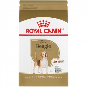 Royal Canin Beagle Adult Száraz Kutyatáp 14kg Magyarország | 79085YVUB