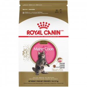 Royal Canin Maine Coon Kitten Száraz Macskatáp 3kg Magyarország | 67485BCLP