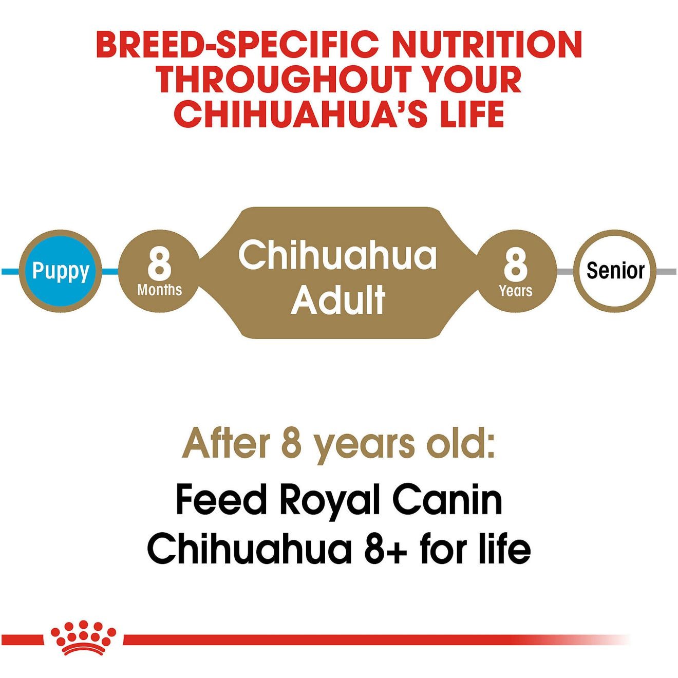 Royal Canin Chihuahua Adult Száraz Kutyatáp 4.5kg Magyarország | 71648PKTX
