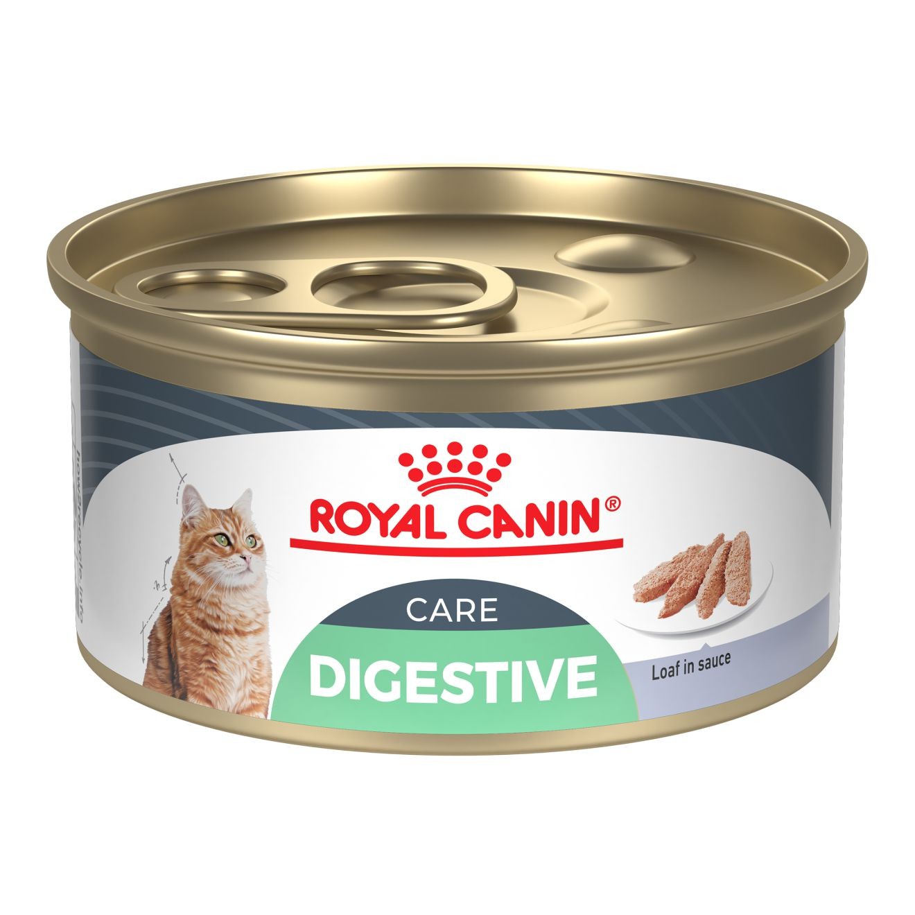 Royal Canin Digestive Care Loaf In Sauce Nedves Macskatáp 24 x 85g Magyarország | 84359WVZK