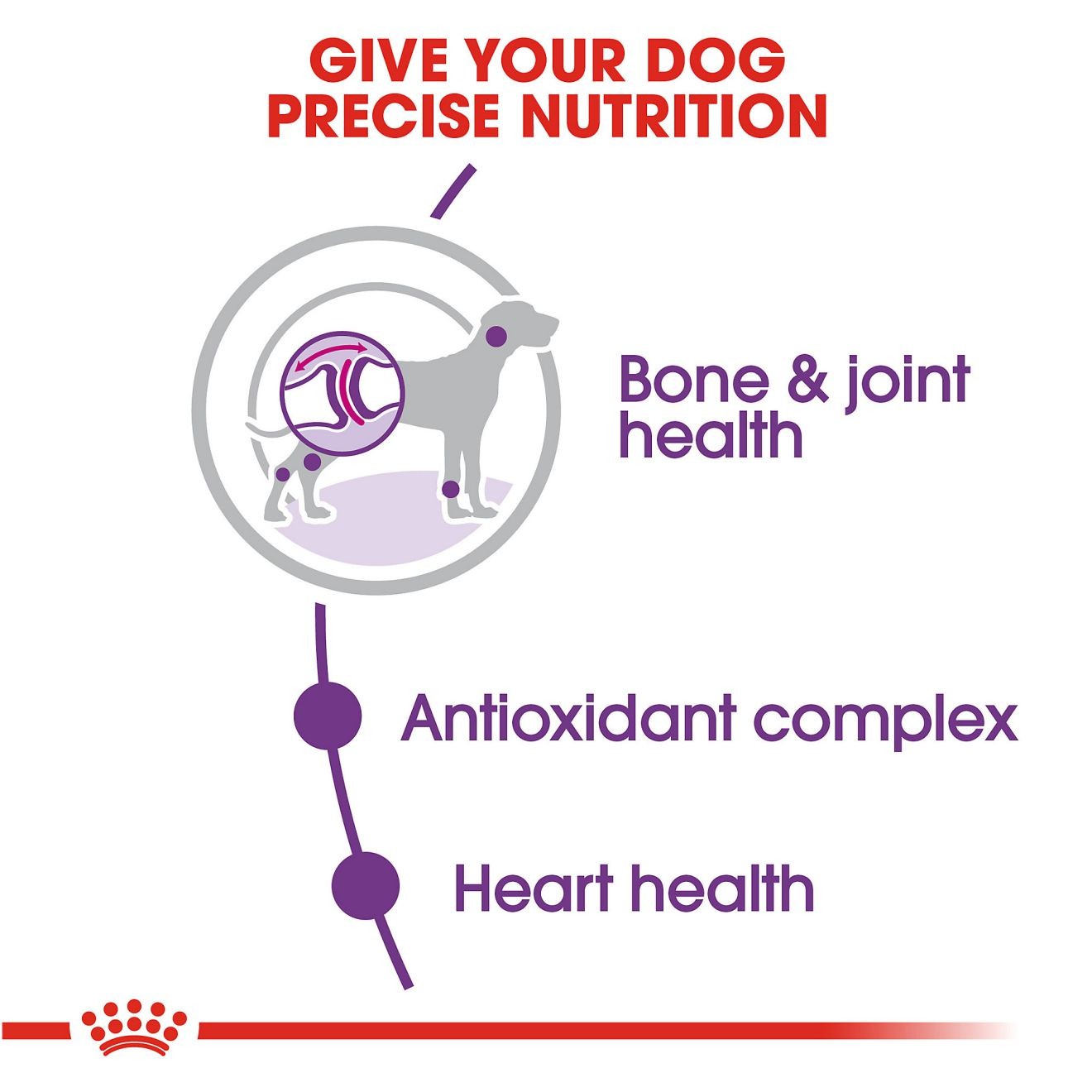 Royal Canin Giant Adult Száraz Kutyatáp 14kg Magyarország | 97236BSPW