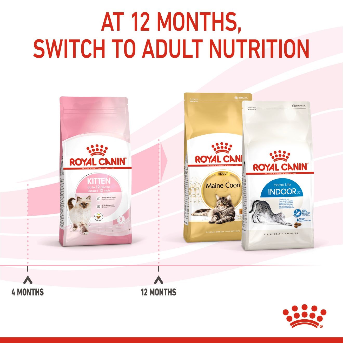Royal Canin Kitten Száraz Macskatáp 10kg Magyarország | 28756CDEN