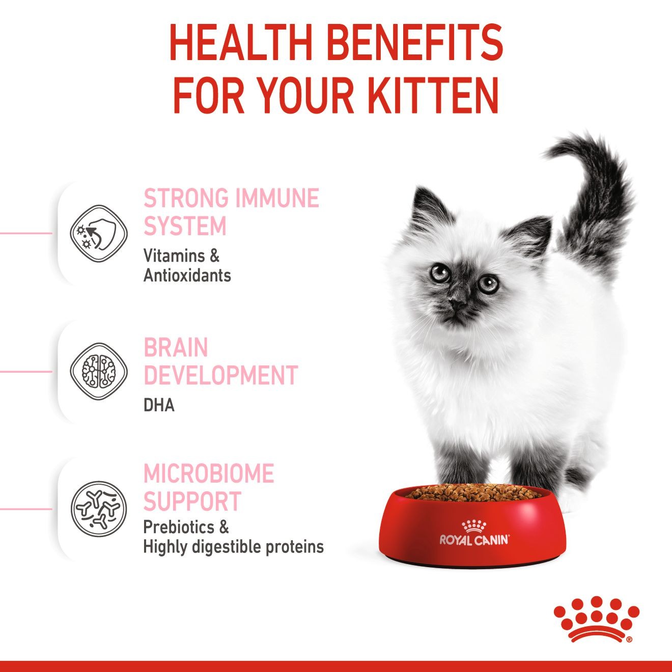 Royal Canin Kitten Száraz Macskatáp 3kg Magyarország | 32749HNYT