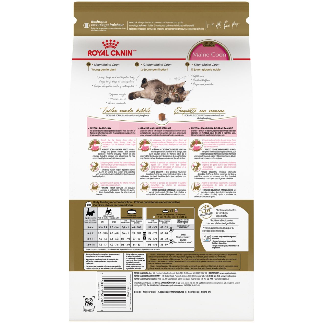 Royal Canin Maine Coon Kitten Száraz Macskatáp 6.5kg Magyarország | 79403PJYF