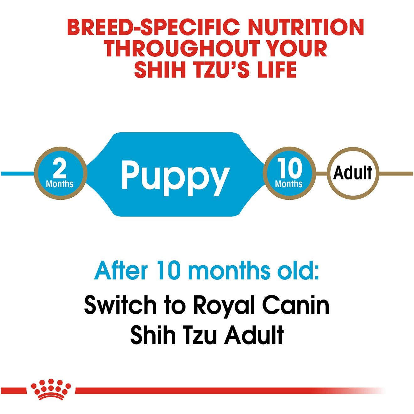 Royal Canin Shih Tzu Puppy Száraz Kutyatáp 1kg Magyarország | 74831QYDN