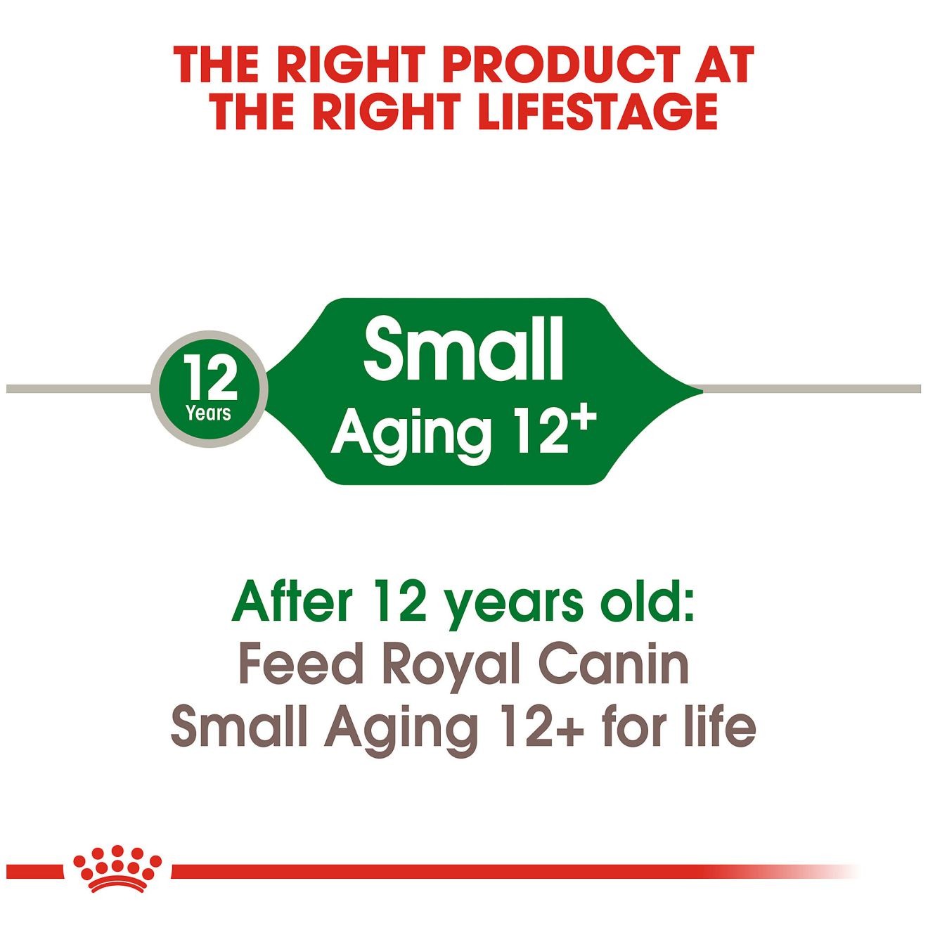 Royal Canin Small Aging 12+ Száraz Kutyatáp 5.5kg Magyarország | 95087BAMF