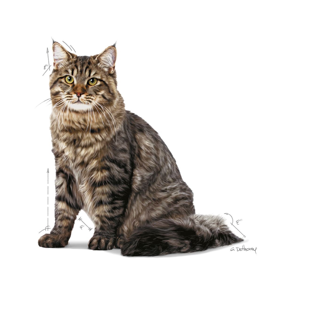 Royal Canin Urinary Care Száraz Macskatáp 1.5kg Magyarország | 30821RHEY