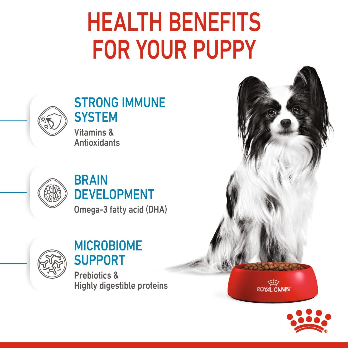 Royal Canin X-Small Puppy Száraz Kutyatáp 1.5kg Magyarország | 64170BGKX