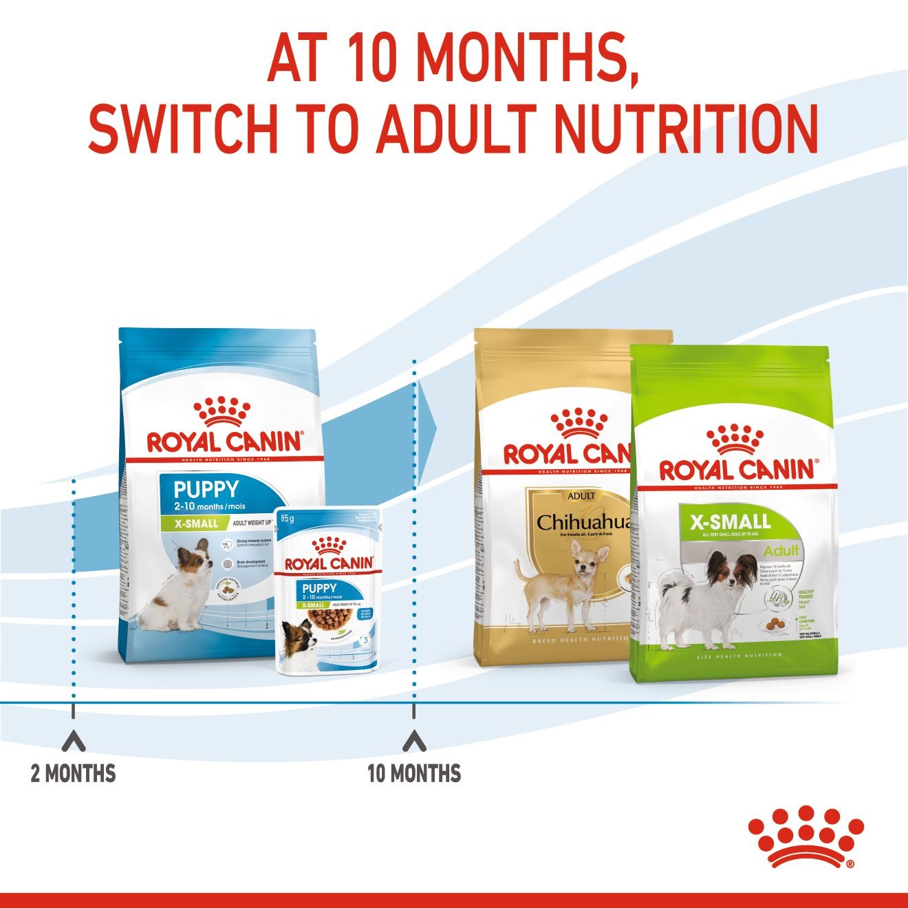 Royal Canin X-Small Puppy Száraz Kutyatáp 1.5kg Magyarország | 64170BGKX